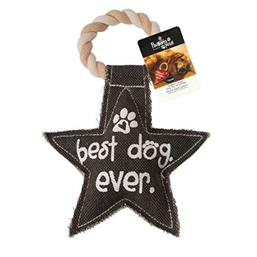 Pavilion Gift Company 45607 Pavilion's Pets-Gray Star Canvas And Rope Squeaky Toy-Best Dog Ever #TOP3