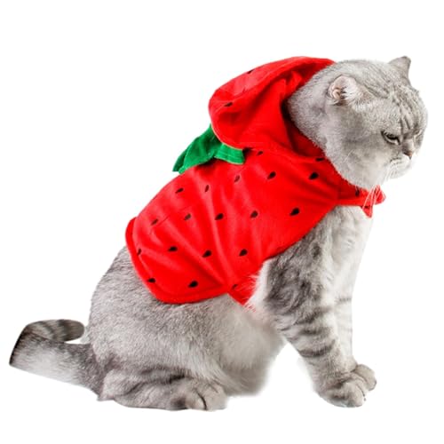 Fantasia de cachorro de Halloween com morango, fantasia de animal de estimação com morango, Roupa de