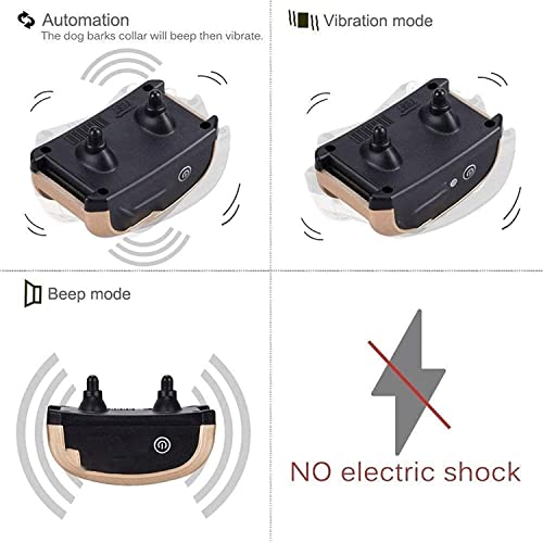 Dongng Anti Bark Collar Charging and Accessories