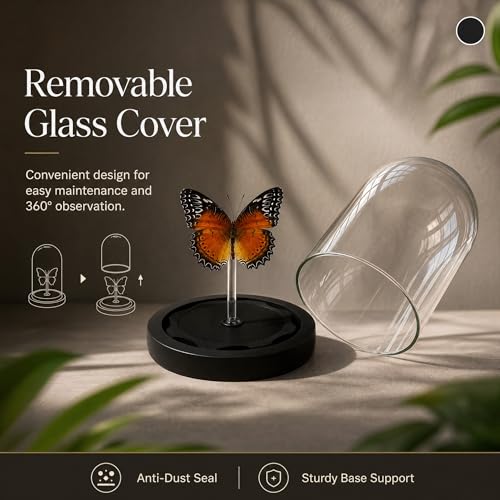 Real Taxidermy Butterfly Specimen Shadow Box, Butterfly Gifts for Women Girls with Glass Cover, Butterfly Decor for Bedroom Office Living Room Desk ﻿ Cethosia bibles Drury — view 4