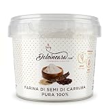 Dolcincasa Farina di Semi di Carruba 100% per Gelato e Pasticceria, 250 g