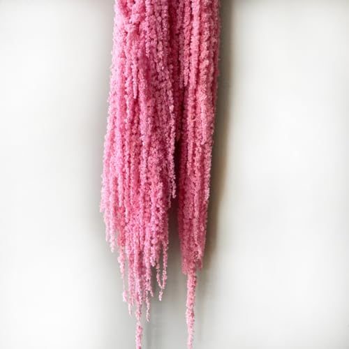 DongArts 5 Pcs Amaranthus Flower, 23-30 Inch Dried Preserved Bleached Wisteria Hanging Vine Flowers for Wedding Bouquet Home Wall Decor (Pink) -  Dongliflower, DM-NEW