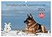 Schäferhunde Seelenhunde (Wandkalender 2024 DIN A3 quer), CALVENDO Monatskalender - Petra Schiller