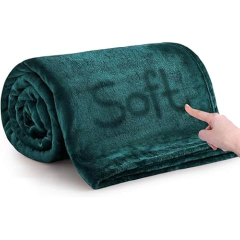 IR Imperial Rooms Fleece Blankets Queen Size 90x90 Inches - Super Soft Fluffy Throw Blanket for Sofa and Bed - Warm and Cozy Lightweight 400 GSM Microfiber Bed Throws Blankets (Queen, Emerald) Cover