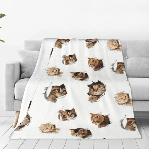 �u�����P�b�g �L�� �ѕz �Ђ��|�� �t�����l���ѕz �}�C�N���t�@�C�o�[ �ӂ�ӂ� �y�� �g���� �l�G�Ή� �q���p �ۈ牀 �I�t�B�X ���s �o�� �ԓ� �L�����v ��[�΍�