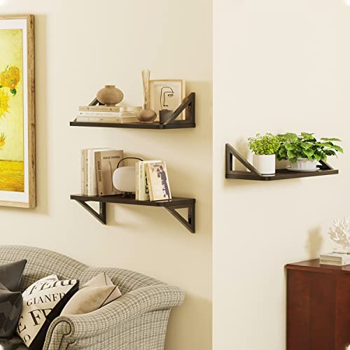 Teamix Set Of 2 Black Wall Floating Shelves 23.6 Inch, Wood Wall Mounted Book Shelf Hanging Shelf Organizer With Heavy-Duty Brackets For Living Room, Bathroom, Kitchen, Bedroom #TOP6