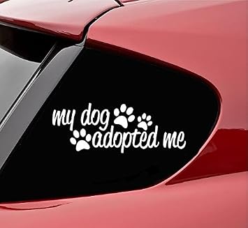 Slap-Art My Dog Adopted me Vinyl Decal Sticker Funny pet Rescue White