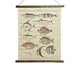 Eine schöne Erinnerung an den Biologie-Unterricht!