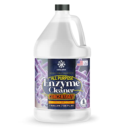 Top 10 Dog Pee Enzyme Cleaner of 2022 Katynel