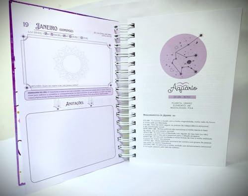 Guia Astrológico 2025: Use a Astrologia para planejar o seu ano e inspirar a sua vida!