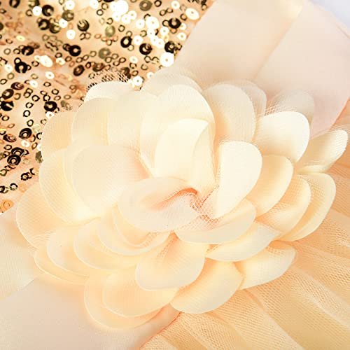 Uhnice Sequin Sleeveless Tulle Mesh Flower Girl Party Dress (8, Beige) #TOP4