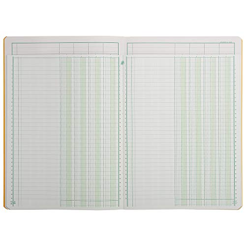 Exacompta 17040E Mehrkolonnenheft (DIN A4, 21 x 29,7 cm, gebunden mit 4 spalten auf 1 Seite und 34 Zeilen, 40 Blatt, 100 g) 1 Stück