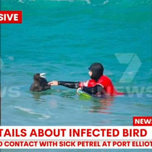 Wildlife facility locked down after bird flu detection in SA