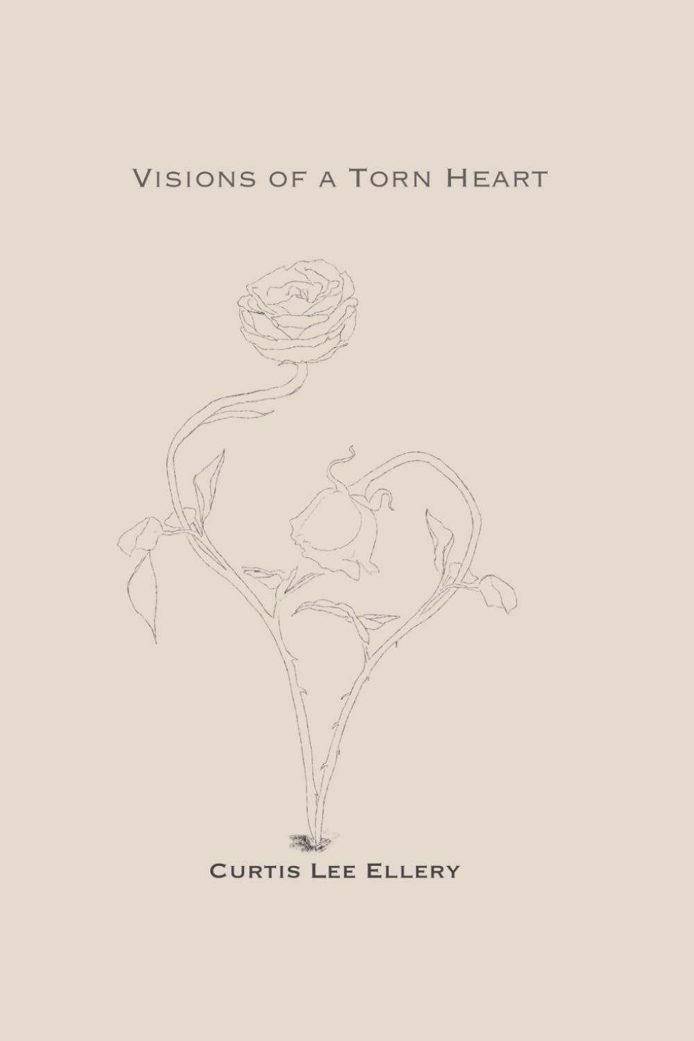 Visions of A Torn Heart