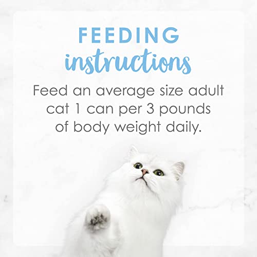 Fancy Feast Purina Pate Wet Cat Food, Creamy Delights Chicken Feast with a Touch of Real Milk - 3 oz. Can (Pack of 12)