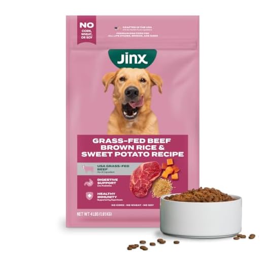 Jinx Premium Dry Dog Food, for All Lifestages - Real Beef, Brown Rice & Sweet Potato Kibble with Superfoods for Immune Support & Probiotics for Digestive Support - No Fillers - 4lb