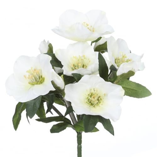 CREATIV green Christrosenbund mit 7 Blüten I 25 cm künstliche...