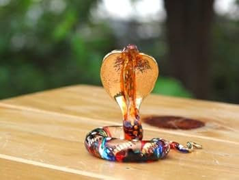 41oIvmHj47L._AC_UF350,