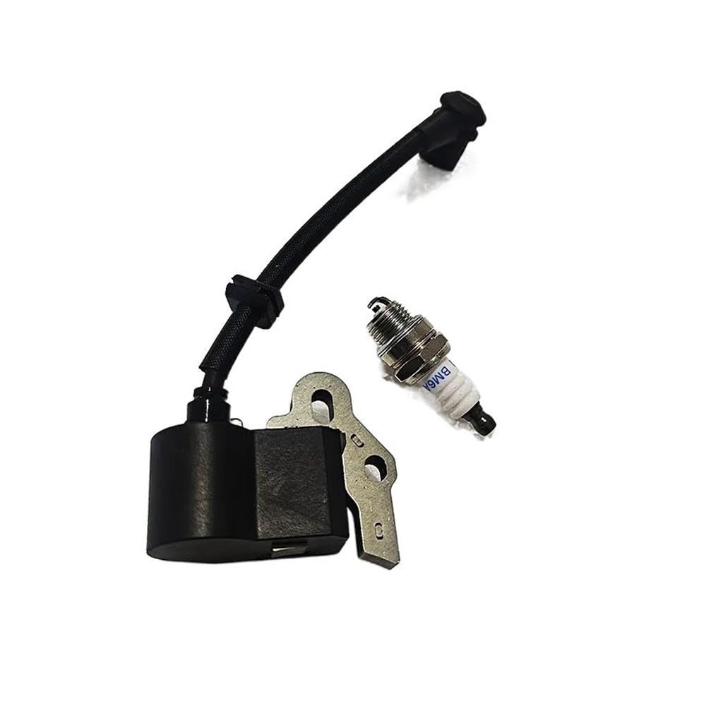 Bobine d'allumage et bougie BM6A pour une étincelle stable 302138