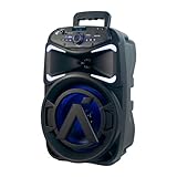 Caixa de som amplificada Bluetooth 8 Polegadas 250W