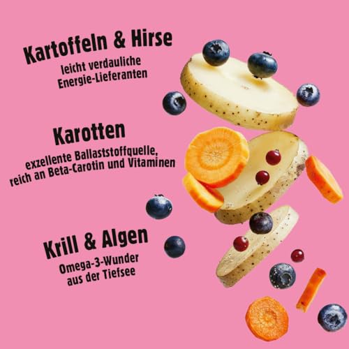 Fellows Großer Chaot Trockenfutter für heranwachsende Hunde – Speziell für Welpen großer Rassen, mit Insektenprotein, Krill und Ei, fördert gesundes Wachstum (500 g)