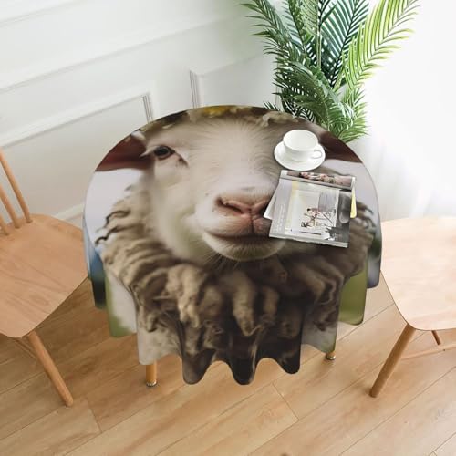 Nappe de restaurant imprimée moutons pour décoration de table