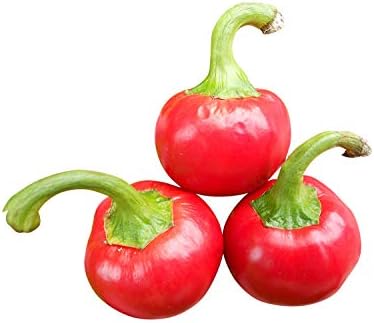 10 Cherry Bomb Red Hot Chile Pepper Seeds