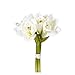 Produktbild Amaryllis-Bund 3Stiele 32cm cr