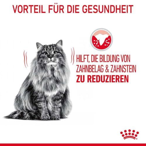 ROYAL CANIN Dental Care Katzentrockennahrung – 2 x 0.4 kg