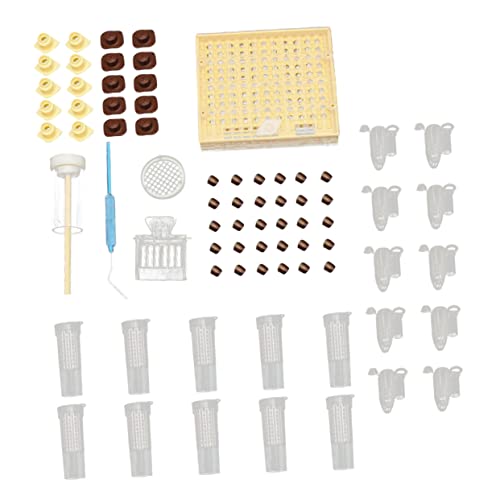 Image of Queen Rearing Box Abs Light Weight Breeding Beekeeping Tool | Beekeeping Tools Equipment Set, Cultivating Box for Bee Breeding, Professional Queen Rearing System Box Random Color