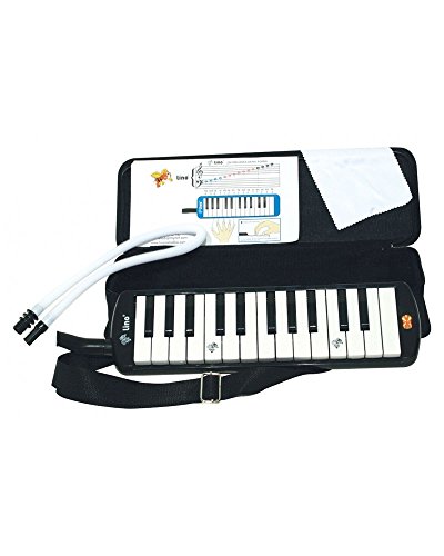 25 tuşlu çantalı melodika