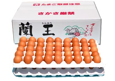玉子王 Amazon | 蘭王たまご 90個入（80個＋破損保障10個