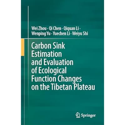 Carbon Sink Estimation and Evaluation of Ecological Function Changes on the Tibetan Plateau