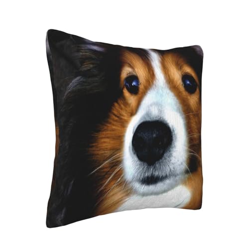 Housse de coussin velours côtelé imprimé chien Shetland 50,8 cm