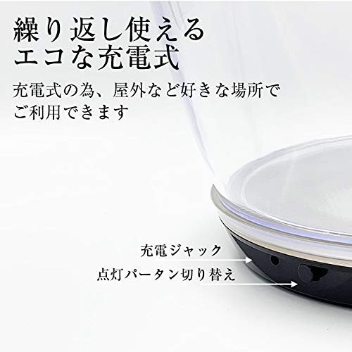 Amazon｜光る ワインクーラー 楕円形 幅41cm×奥行28cm×高さ28.5cm