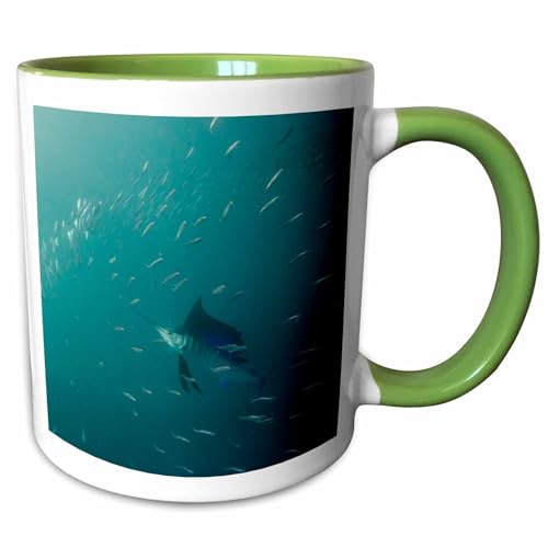 3dRose Sailfish Feeding on Sardines Sardine Run 15oz Two-Tone Green Mug