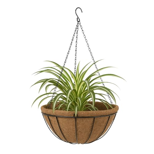 TECHZOCO Macetero de Coco Colgante, Maceta de Coco diseño Lineal, Tiesto Colgar Flores, Fabricado en Fibra de Coco y Metal, Recipiente Pared para Flores, 20 cm diámetro x 11 cm Alto