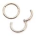 316L Rose Gold PVD Plated Hinged Segment WildKlass Rings (14g 6mm)