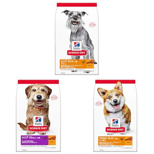 yZbgzqY TCGX_CGbg hbOt[h VjA Cg  7Έȏ `L 12s p hC 얞 + qY TCGX_CGbg hbOt[h VjAvX  10Έȏ `L 12s p hC + qY 