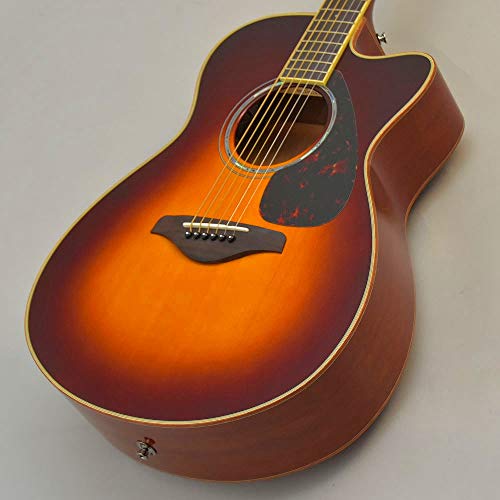 Amazon.co.jp: YAMAHA FSX825C BS(ブラウンサンバースト