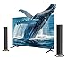 MZEIBO Sound Bar, TV Soundbar 80W with Bluetooth 5.3 Stereo Immersive Sound Detachable 2-in-1 Design for Home Theater Smart TV PC & Music Experience