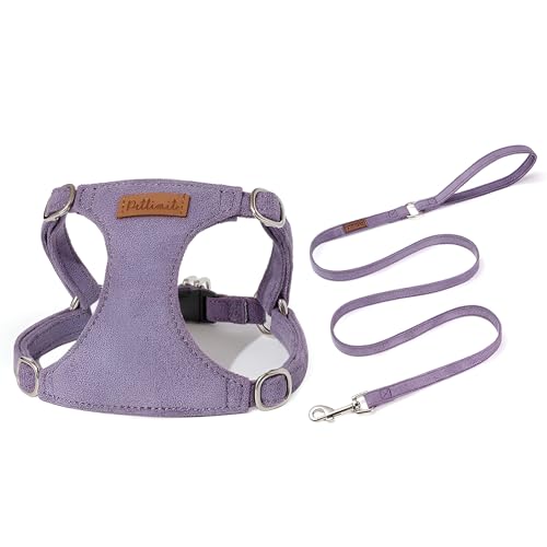 [lalarimi]y^pvn[lXzqxXg^n[lXZbg EȒP/Sy [ht ^pUObY ϋvƒʋC𗼗ybgpg[jOMA