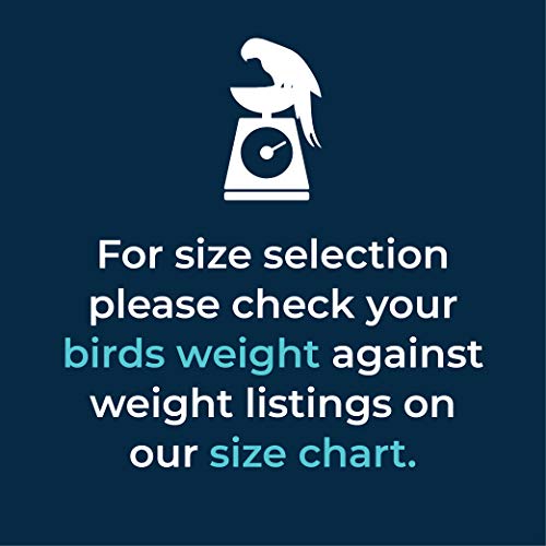 Bev’s Bird Boutique - Black Beauty (Flyper Mini) (9) #TOP4