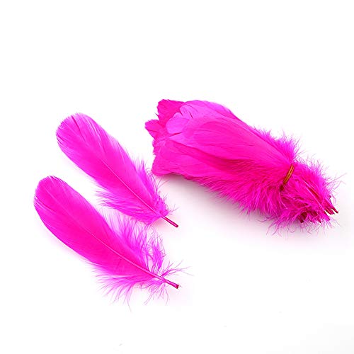 Sowder Piume d'oca naturali, accessori per abbigliamento, confezione da 100 (fucsia)