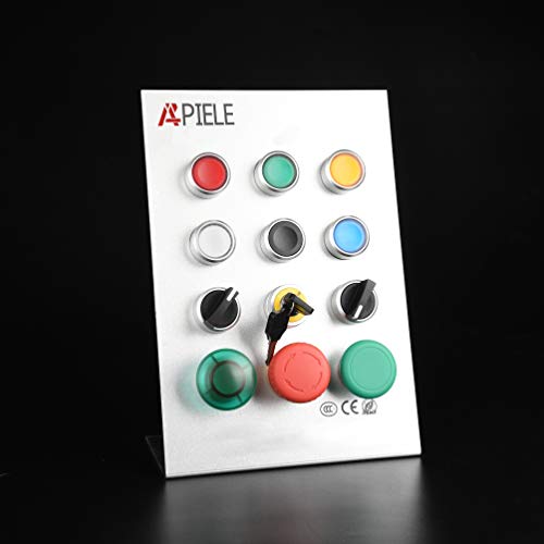 Apiele 22Mm Key Switch 440V 10A 1No1Nc (2 Position, Momentary) #TOP6