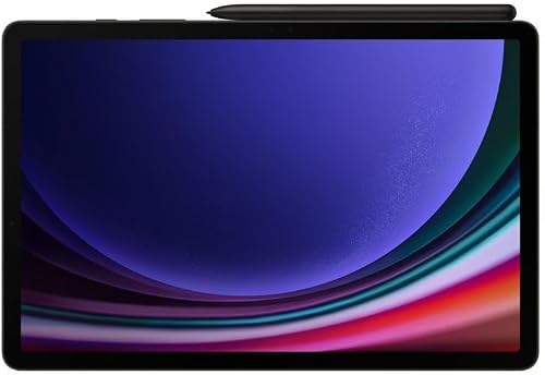 Samsung Galaxy Tab S9 256GB Grey