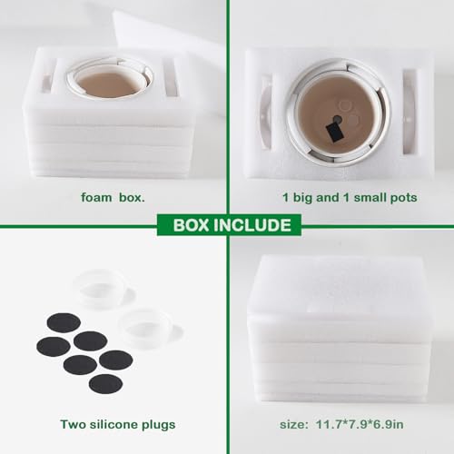 Docrin Ceramic Plant Pots Indoor, 6.6 + 5.5 Inch Planters with Drainage Holes and Saucer for Home/Office - Set of 2 /White by Docrin - Image 3