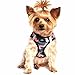 American River Camo Choke Free Dog Harness - Pink