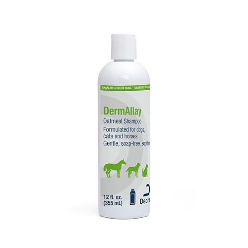 DermAllay Oatmeal Shampoo, 12 Ounce