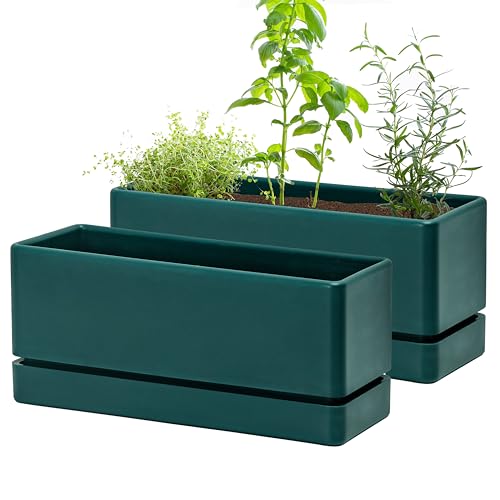 D'vine Dev 2-Pack Rectangular Planters, 12 x 4.5 in, Green, 76-X-C-2